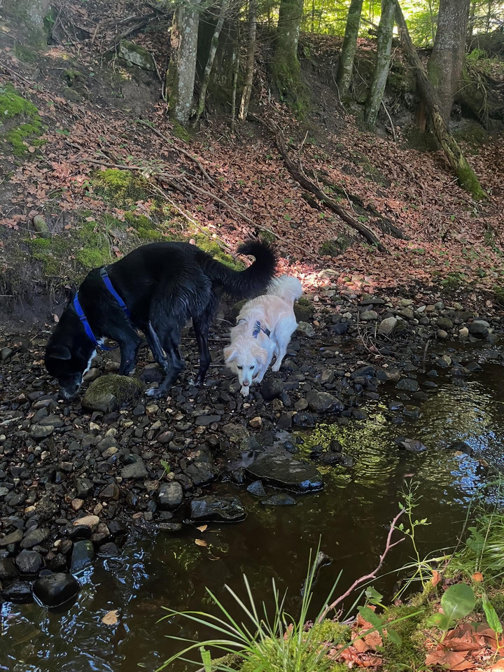cookie und sonnig 